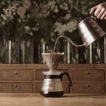 Hario Craft Kit V60 Cam Kahve Servisi Sunuculu Plastik Damlatıcı, Ölçüm Kaşığı ve Filtreli, Borosilikat, Siyah, Boyut 2