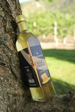 Harşena Bal Sirkesi 500g