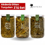 Havaza Akdeniz Otları Turşuları Deniz börülcesi,Kaya koruğu,Yağlı Zahter 720 g