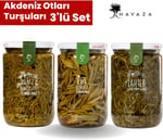 Havaza Akdeniz Otları Turşuları Deniz börülcesi,Kaya koruğu,Yağlı Zahter 720 g