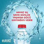 Hayat Doğal Mineralli Su 6x1,5 L