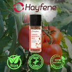 Hayfene Domatesli Fesleğenli Tuzlu Çeşni 60 gr (Değirmen Kapaklı)