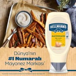 Hellmanns Mayonez 385g