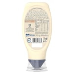 Hellmanns Mayonez 385g
