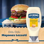 Hellmanns Mayonez 385g