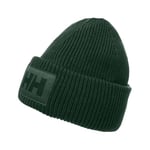 Helly Hansen Hh Box Beanie Bere unisex-yetişkin