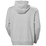 Helly Hansen Hh Logo Hoodie 2.0 HH Logo Hoodie 2.0 Erkek