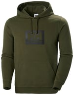 Helly Hansen Koyu Yeşil Kapüşonlu Sweatshirt, 5003080437