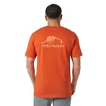 Helly Hansen NORD GRAPHIC Tshirt Erkek