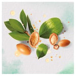 Herbal Essences Fas Argan Yağ Onarıcı Saç Bakım Maske 250 ml