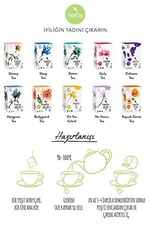 Herby Detox Tea Diyete Destek Detoks Bitki Çayı, 4'lü Paket