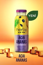 Herby Ice Tea Açai Ananas Soğuk Çay Şeker İlavesiz 250 ml X 12 Adet