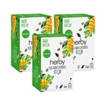 Herby Yeşil Kahve Çekirdekli Fit Çay, 3'lü Paket