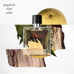 Hermes Terre DHermes Pure Perfume 75 ml Erkek Parfüm