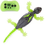 HEX BOTS - WALLCRAWLER Gecko: Lagarto GECO Duvar Tırmanıcısı - Şarj Edilebilir Uzaktan Kumanda Robotu - 6070281-4 Yıl Hediye + - Çocuk Oyuncakları 4 Yaş +