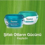 Himalaya Since 1930 Yoğun Nemlendirici El ve Vücut Kremi, Badem Yağı, Buğday Tohumu, E Vitamini, Tüm Ciltler, 50 ml - Seçenekler: 50 ml, 50 ml 2li paket, 50 ml 3lü paket, 50 ml (4 paketi)