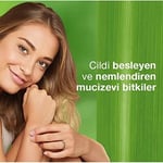 Himalaya Since 1930 Yoğun Nemlendirici El ve Vücut Kremi, Badem Yağı, Buğday Tohumu, E Vitamini, Tüm Ciltler, 50 ml - Seçenekler: 50 ml, 50 ml 2li paket, 50 ml 3lü paket, 50 ml (4 paketi)