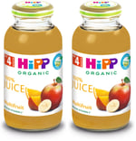 HiPP Organik Karışık Meyve Suyu 200 ml 2li paket