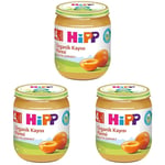 Hipp Organik Kayısı Püresi 125 Gr 1 Paket(1 X 125 G) 3lü paket