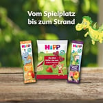 HiPP Organik Pirinçli Elmalı Bebek Gofreti 30 gr