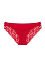 HNX Pamuklu Arkası Yarım Dantel Bikini Kadın Külot L hnxNM2595