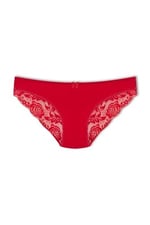 HNX Pamuklu Arkası Yarım Dantel Bikini Kadın Külot L hnxNM2595