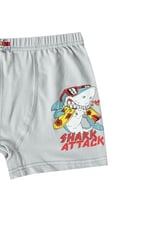 HNX UNDERWEAR 6'lı Pamuklu Baskılı Erkek Çocuk Boxer Külot Karışık-3 10-11 Yaş hnxNM763