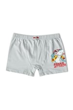 HNX UNDERWEAR 6'lı Pamuklu Baskılı Erkek Çocuk Boxer Külot Karışık-3 10-11 Yaş hnxNM763