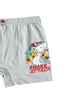 HNX UNDERWEAR 6'lı Pamuklu Baskılı Erkek Çocuk Boxer Külot Karışık-3 10-11 Yaş hnxNM763