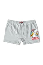 HNX UNDERWEAR 6'lı Pamuklu Baskılı Erkek Çocuk Boxer Külot Karışık-3 10-11 Yaş hnxNM763
