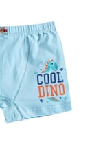 HNX UNDERWEAR 6'lı Pamuklu Baskılı Erkek Çocuk Boxer Külot Karışık-3 10-11 Yaş hnxNM763