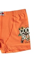 HNX UNDERWEAR 6'lı Pamuklu Baskılı Erkek Çocuk Boxer Külot Karışık-3 10-11 Yaş hnxNM763