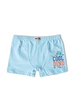 HNX UNDERWEAR 6'lı Pamuklu Baskılı Erkek Çocuk Boxer Külot Karışık-3 10-11 Yaş hnxNM763
