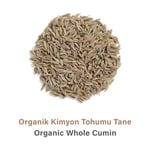 HOLISTIC CORNER Organik Kimyon Tohumu Tane | 50g