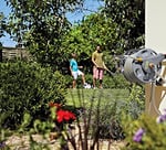 HOZELOCK - Hortum Makarası 60m 2'si 1 Arada (Yalnızca Makara ve Duvar Sabitlemeleri): Serbest duran veya Duvara monte, Dayanıklılık ve Kullanım Esnekliği için Hafif, Sağlam Ana Gövdeli Makara [2475R00