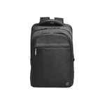 HP Profesyonel 17.3 inç Bilgisayar Sırt Çantası Siyah 500S6AA - Seçenekler: 17,3 inç (43,9 cm), 14,1 Zoll, 15.6 inches, Rucksack...