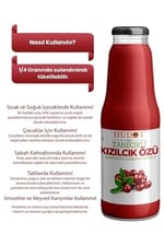HUDOT Kızılcık Özü, Tanecikli, 1400g, Doğal Meyve Konsantresi