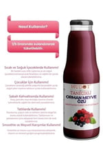 HUDOT Tanecikli Orman Meyve Özü, 1400G, Doğal Meyve Ekstraktı, Yoğun Kıvam