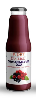 HUDOT Tanecikli Orman Meyve Özü, 1400G, Doğal Meyve Ekstraktı, Yoğun Kıvam