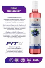 Hudot Yaban Mersini Sirkesi, Gurme Premium, 500 Ml (Doğal Fermantasyon)