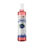 Hudot Yaban Mersini Sirkesi, Gurme Premium, 500 Ml (Doğal Fermantasyon)