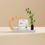 Humble Cotton Swabs-Purple (lLila - Seçenekler: 1 x 100, 10 x 100, 10 x 100 (2 paketi)