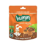 Humm Organic Glutensiz Vegan Havuçlu ve Tarçınlı Kek