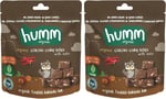 Humm Organic Glutensiz Vegan Kakaolu ve Fındıklı Kek 2li paket