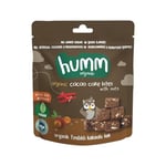 Humm Organic Glutensiz Vegan Kakaolu ve Fındıklı Kek