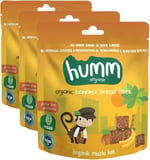 Humm Organic Glutensiz Vegan Muzlu Kek