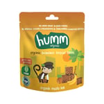 Humm Organic Glutensiz Vegan Muzlu Kek