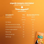 Humm Organic Organik Glutensiz Vegan Mangolu Mini Küpler - 30g