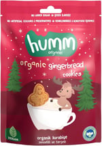 Humm Organic Organik Zencefilli Tarçınlı Vegan Kurabiye 1 Paket(55 Gr x 1 Adet)