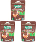 Humm Organic Organik Zencefilli Tarçınlı Vegan Kurabiye 1 Paket(55 Gr x 1 Adet)